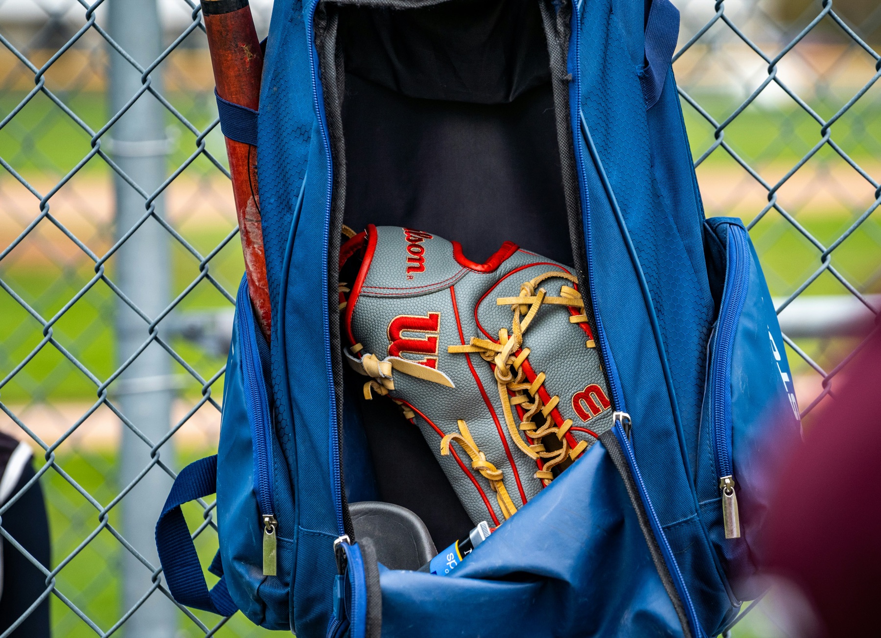 Baseball glove and bat in an equipment bag